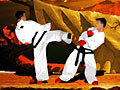 Taekwon-Do hrať on-line