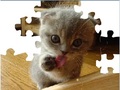 Cute Cat Puzzle hrať on-line