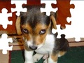 Cute Dog Puzzle hrať on-line