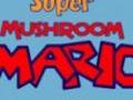 Super Mushroom Mario hrať on-line