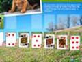 Animal Planet Solitaire hrať on-line